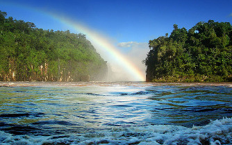 Brazilian Sunshine